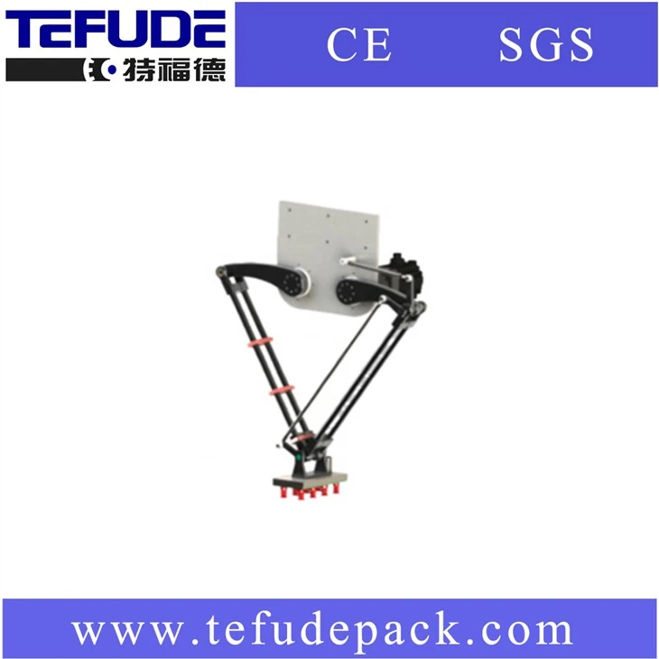 DELTA Parallel Robot Cartonning Loading Case Packaging Robot Machine