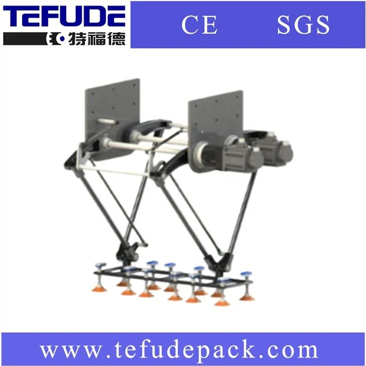 DELTA Parallel Robot Solution Robot Packaging Case Packing Robot Arm